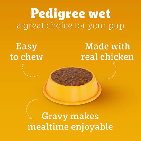 Pedigree Puppy Wet Dog Food | Chicken And Liver Chunks Flavour In Gravy With Vegetables | 30 X 70 G