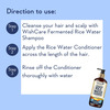 Wishcare Fermented Rice Water Shampoo For Dry & Frizzy Hair - (300Ml)