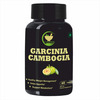 Fij Ayurveda Garcinia Cambogia Capsule With Green Tea & Green Coffee Extract - 500Mg 60 Capsules