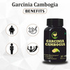 Fij Ayurveda Garcinia Cambogia Capsule With Green Tea & Green Coffee Extract - 500Mg 60 Capsules
