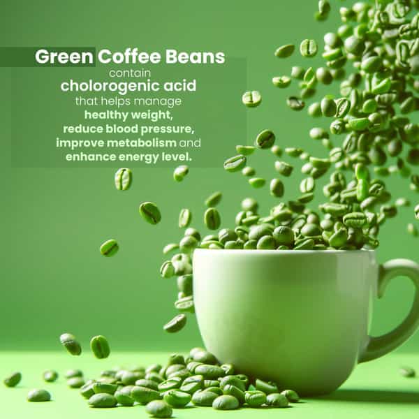 Sheopal's Green Coffee Beans With Chlorogenic Acid- 200Gm