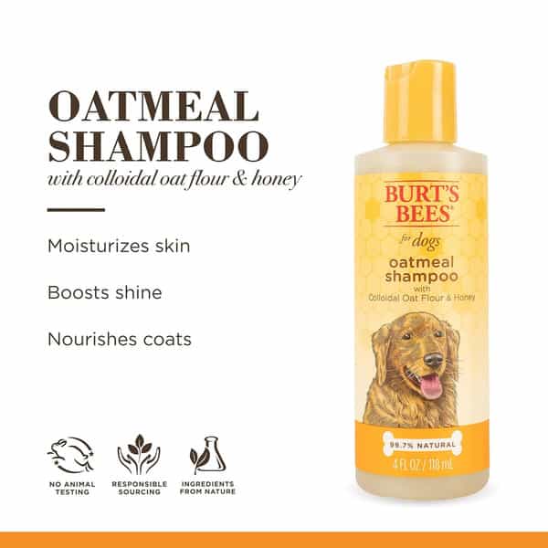 Burt's Bees Oatmeal Dog Shampoo | Colloidal Oat Flour & Honey | 118 Ml