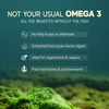 Rasayanam Omega - 3 | Vegan | No Burps | Epa+Dha | 60 Capsules | Pack Of 1