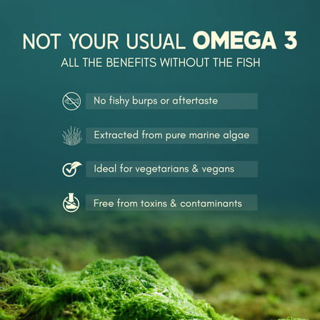 Rasayanam Omega - 3 | Vegan | No Burps | Epa+Dha | 60 Capsules | Pack Of 1