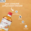 Inlife Apple Cider Vinegar With Garlic Ginger Lemon Honey Mother Of Vinegar Weight Management-500 Ml