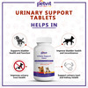 Petvit Urinary Support Tablets All Breeds Of Dogs & Cats - 60 Chewable Tablets
