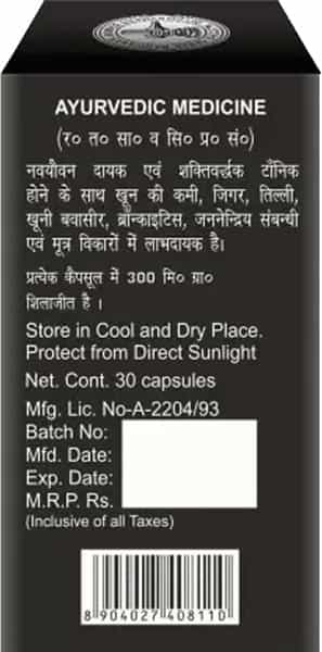 Baidyanath Shodhit Shilajit - For Youthful Longevity | For Stamina And Rejuvenation | (Pack Of 2)
