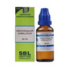Sbl Ornithogalum Umbellatum Dilution 30 Ch 30 Ml Pack Of 2