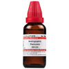 Dr. Willmar Schwabe India Andrographis Paniculata Dilution 200 Ch 30 Ml