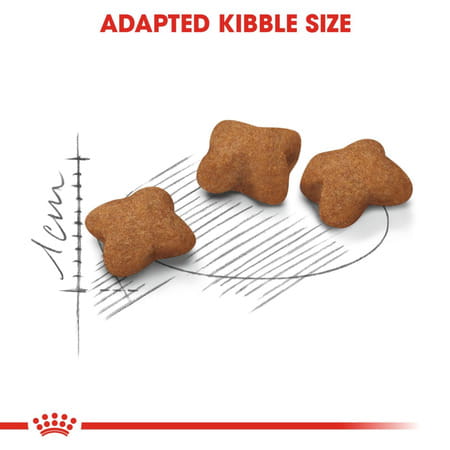 Fhn Kitten Sterilised 1.2kg