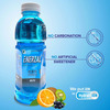 Enerzal Blitz Isotonic Hydration & Electrolyte Energy Drink Pet Bottle 500 Ml Each (Pack Of 24)