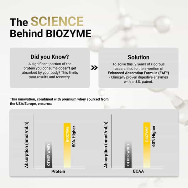 Muscleblaze Biozyme Performance Whey 25G Protein | 36G Sachet | Single Pack | Rich Chocolate
