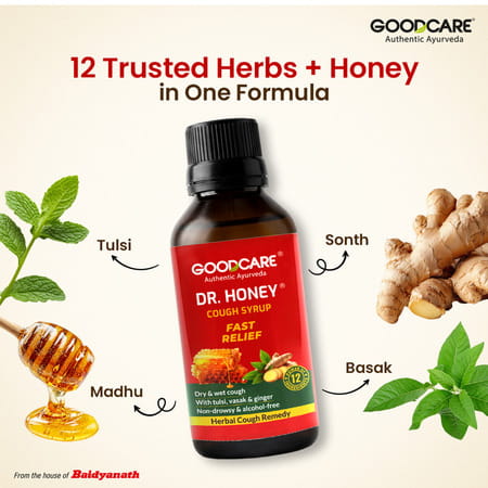 Goodcare Dr Honey Cough Syrup | Adults | Tulsi Ginger | 100 Ml | Pack Of 1