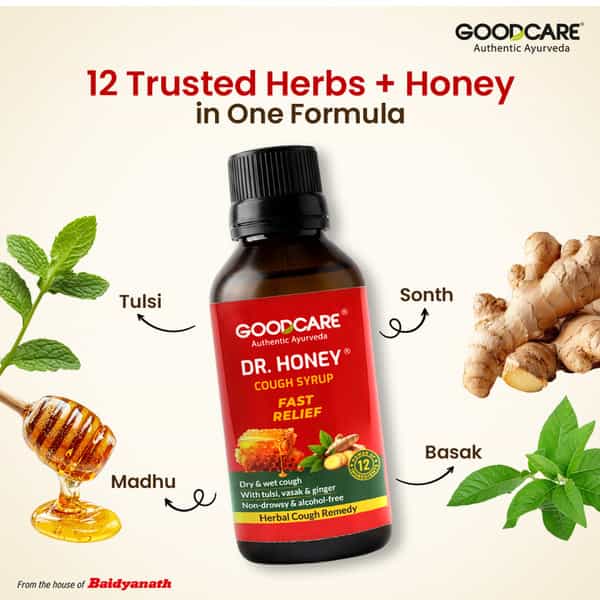 Goodcare Dr Honey Cough Syrup | Adults | Tulsi Ginger | 100 Ml | Pack Of 1