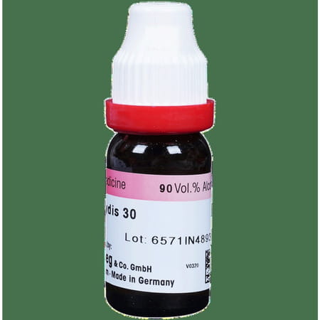 Dr. Reckeweg Ustilago Maydis Dilution 30 Ch 11 Ml