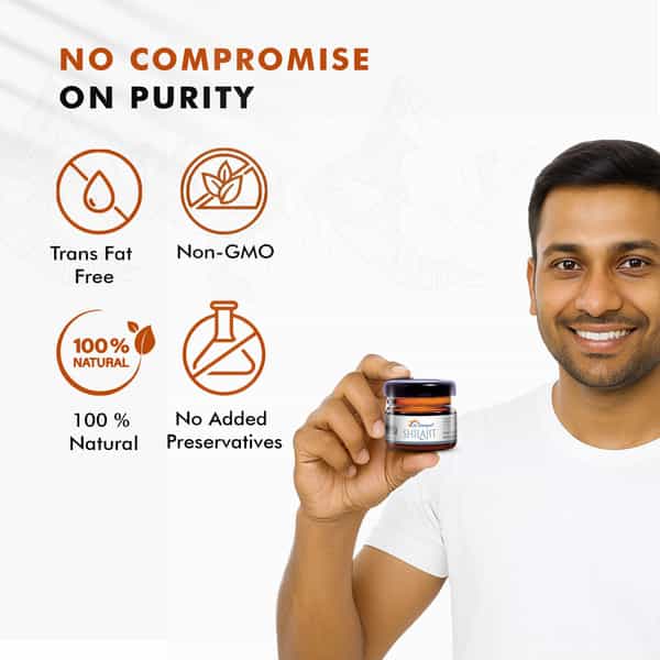 Dr. Morepen Natural & Pure Shilajit Resin Ayurvedic Energy Booster & Stamina Enhancer - 15G