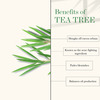 Good Vibes Tea Tree Oil Control Peel Off Mask- 50 Gm
