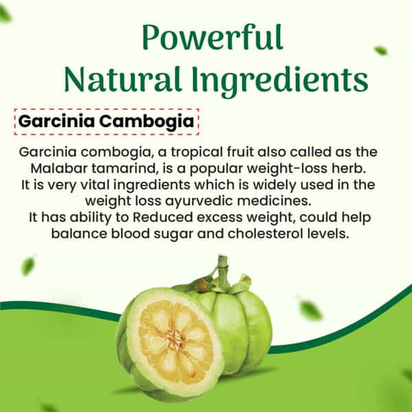 Cipzer Garcinia Cambogia | Helps In Reducing Weight | Abdominal Fat And Obesity-60 Capsule