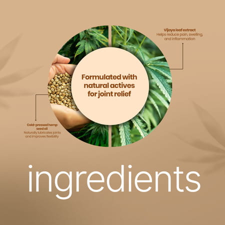 Boheco Glide | Ayurvedic Oil For Joint Discomfort | With Vijaya Leaf Extract | 100ml