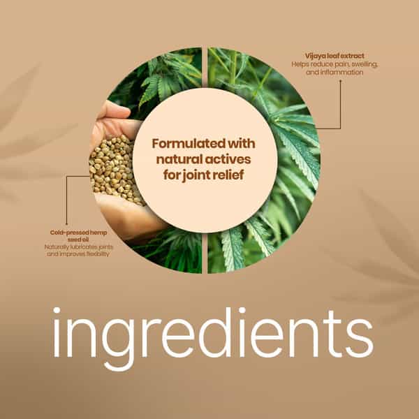 Boheco Glide | Ayurvedic Oil For Joint Discomfort | With Vijaya Leaf Extract | 100Ml