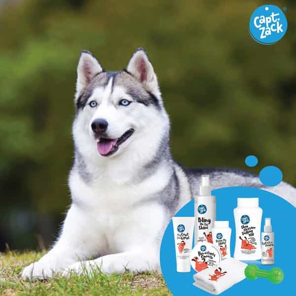 Captain Zack - The Husky Groom Box Ultimate 8-In-1 Head-To-Paw Groom-Kit For Your Dog