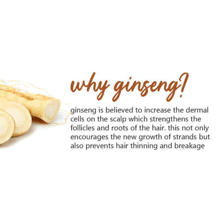 Plum Ginseng Gentle Rinse Shampoo - 300 Ml