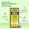 Baidyanath Asli Ayurved Isabgol Psyllium Husk Powder | Constipation Relief | 200G