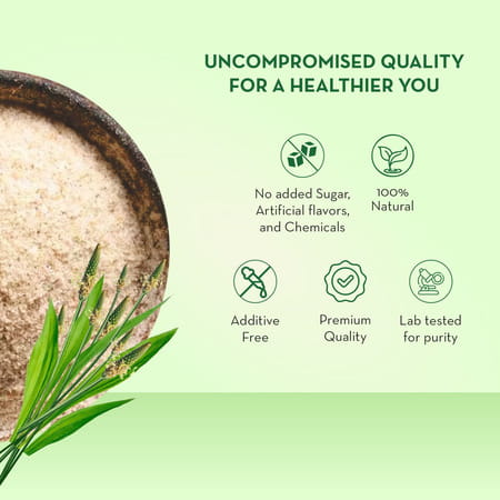 Baidyanath Asli Ayurved Isabgol Psyllium Husk Powder | Constipation Relief | 200g