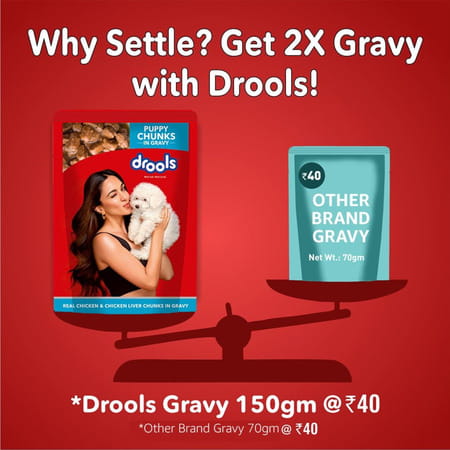 Drools Puppy Wet Dog Food | Real Chicken And Chicken Liver Chunks In Gravy | 3.6kg (150g X 24)
