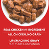 Drools Puppy Wet Dog Food | Real Chicken And Chicken Liver Chunks In Gravy | 3.6kg (150g X 24)
