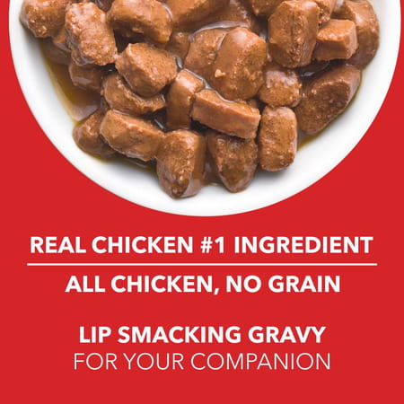 Drools Puppy Wet Dog Food | Real Chicken And Chicken Liver Chunks In Gravy | 3.6kg (150g X 24)