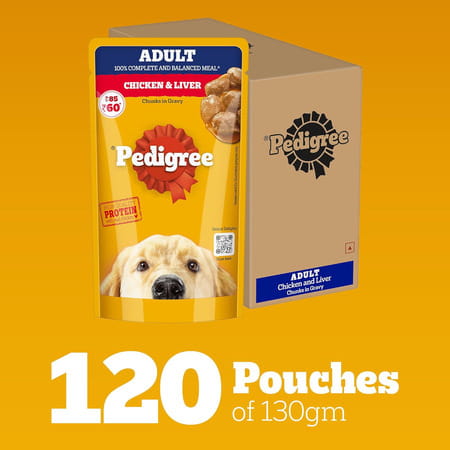 Pedigree Adult Wet Dog Food | Chicken & Liver Chunks In Gravy | 130 G (Pack Of 120)