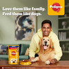 Pedigree Adult Wet Dog Food | Chicken & Liver Chunks In Gravy | 130 G (Pack Of 120)