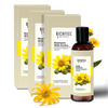 Shampoo With Arnica 100 Ml Pack Of 3