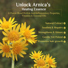 Shampoo With Arnica 100 Ml Pack Of 3