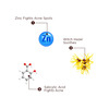 The Skin Story Pimple Spot Corrector & Optimiser Gel 25g