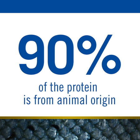 Farmina Pet Foods Ocean Dry Dog Food | Low Grain | Adult Mini Breed | 2.5-Kg