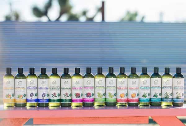 Petal Fresh Anti Frizz Shampoo Lavender 355 Ml