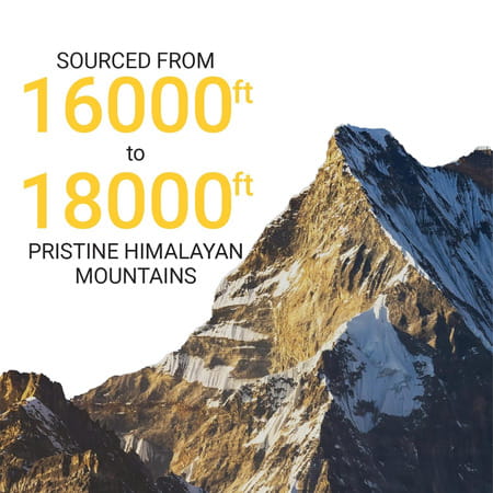 Yourhappylife Pure Himalayan Shilajit Gummies With 70% Fulvic Acid & 80 Plus Minerals - 60n