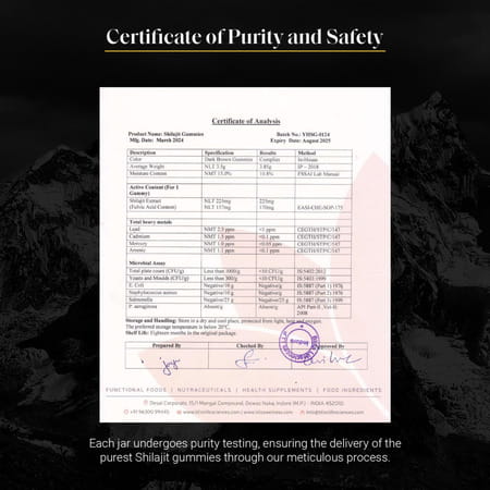 Yourhappylife Pure Himalayan Shilajit Gummies With 70% Fulvic Acid & 80 Plus Minerals - 60n