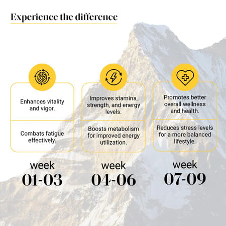 Yourhappylife Pure Himalayan Shilajit Gummies With 70% Fulvic Acid & 80 Plus Minerals - 60n