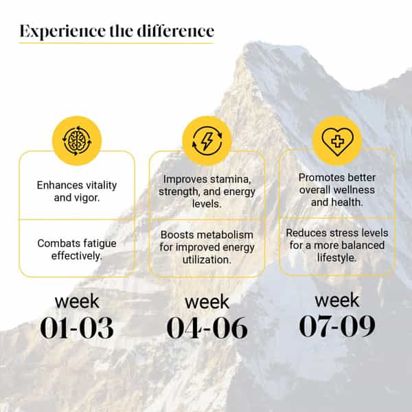 Yourhappylife Pure Himalayan Shilajit Gummies With 70% Fulvic Acid & 80 Plus Minerals - 60N