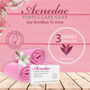Acnedac Pimple Care Soap 100 Gm (Pack Of 2)
