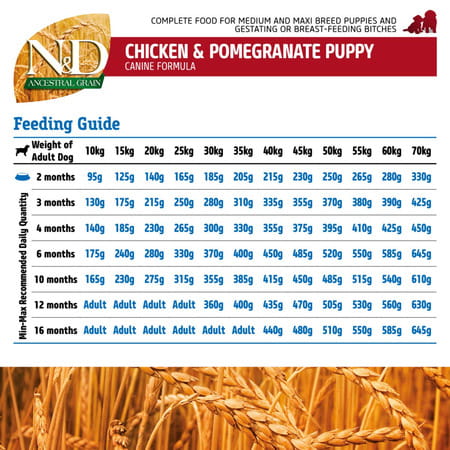 Farmina N&D Ancestral Grain Puppy Medium Maxi Dog Food | Chicken | Spelt | Oats & Pomegranate 2.5kg
