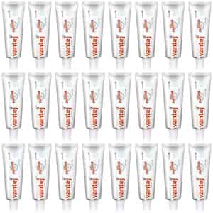 Vantej Extra Foaming With Refreshing Flavour Toothpaste 100gm (pack Of 24)