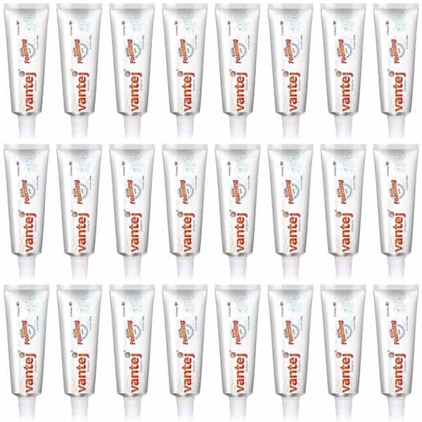 Vantej Extra Foaming With Refreshing Flavour Toothpaste 100Gm (Pack Of 24)