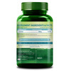 Himalayan Organics L Tyrosine 500 Mg | Cognitive Health Support | Bottle | 120 Veg Capsules