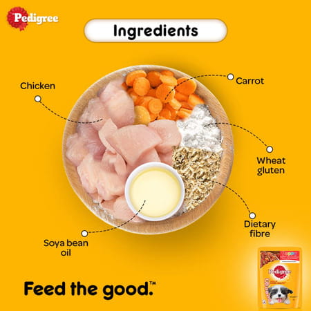 Pedigree Puppy Wet Dog Food | Chicken And Liver Chunks Flavour In Gravy With Vegetables | 90 X 70 G