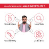 Ashwamed Capsule - Restores Male Virility - 10 X 10