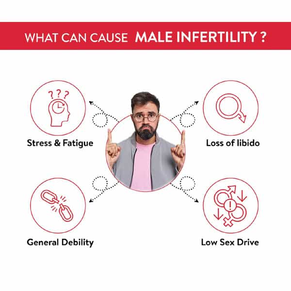 Ashwamed Capsules For Energy | Stamina | Immunity | Fortify Male Fertility | 10 Capsule (Pack Of 10)